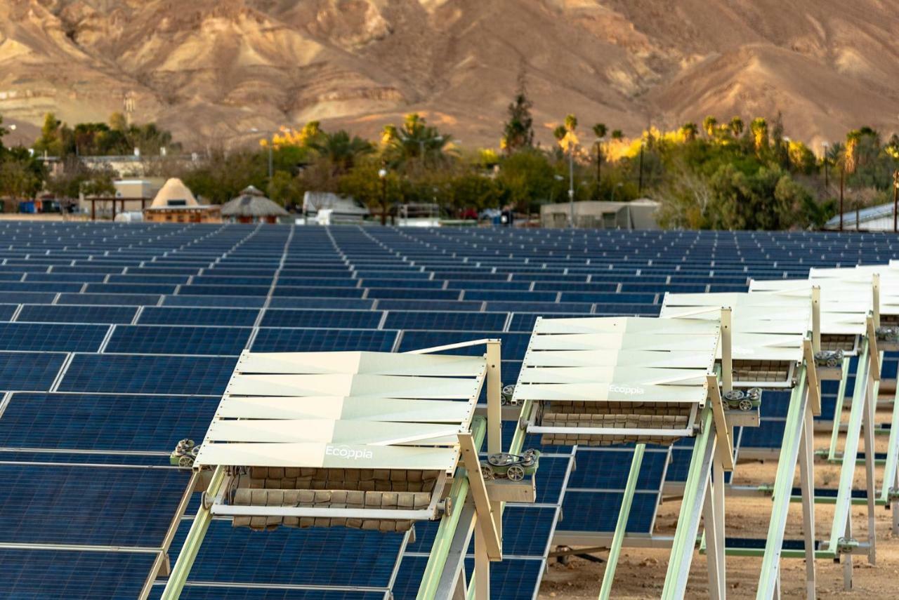 Kibbutz Ketura Guest House Nahal Ya'alon Exteriér fotografie
