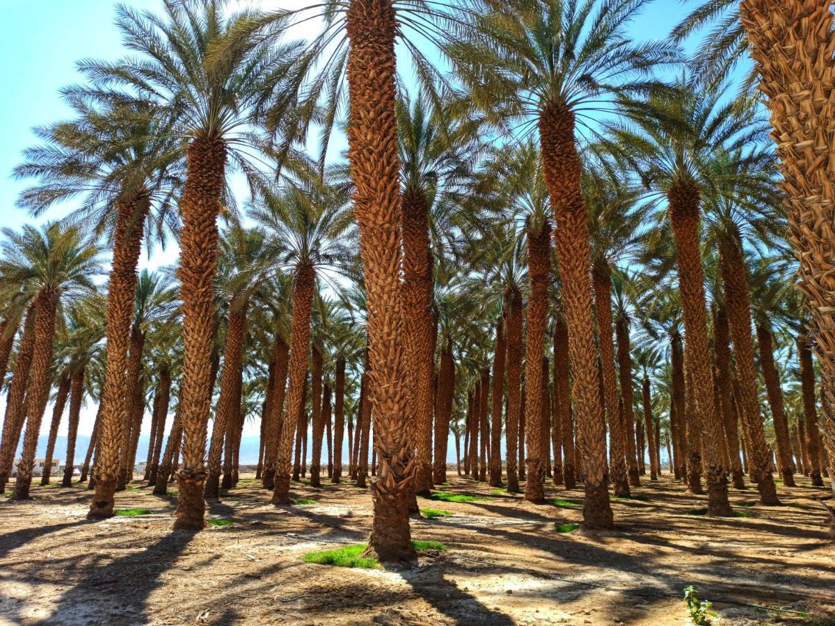 Kibbutz Ketura Guest House Nahal Ya'alon Exteriér fotografie