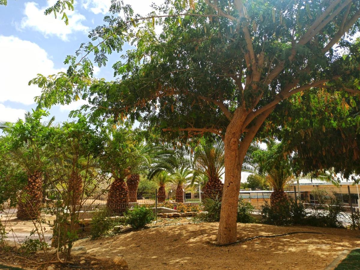 Kibbutz Ketura Guest House Nahal Ya'alon Exteriér fotografie
